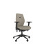 AMF - Multi-Functional Adjustable Arms +£30.00